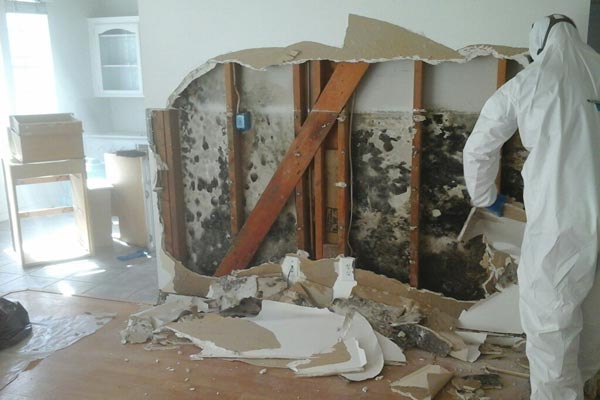 Water Damage Restoration Toms River Nj